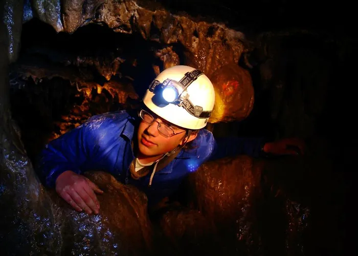 Cal Calau Vega 3* Planoles